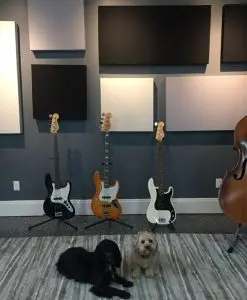 Eric Johnson Panels with Bass and Dogs GIK Acoustics 242 Acoustic Panels