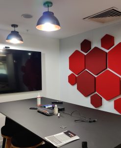 Hexagon Acoustic Panels - Decorative Acoustic Panels in different colours in conference room
